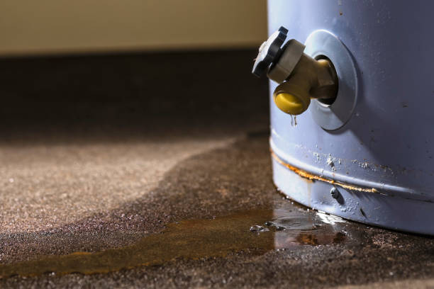 Best Flood damage cleanup  in Pennington, NJ