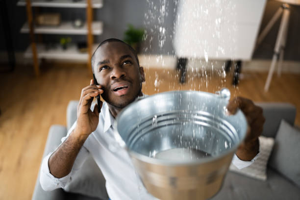 Best 24/7 water damage repair  in Pennington, NJ