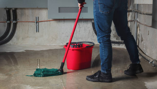 Best Flood restoration services  in Pennington, NJ