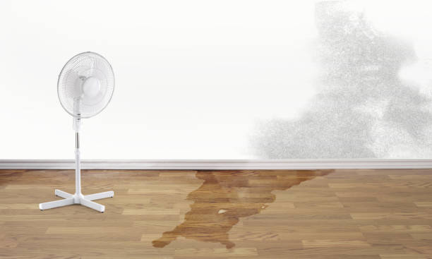Best Sewage cleanup and water damage restoration  in Pennington, NJ